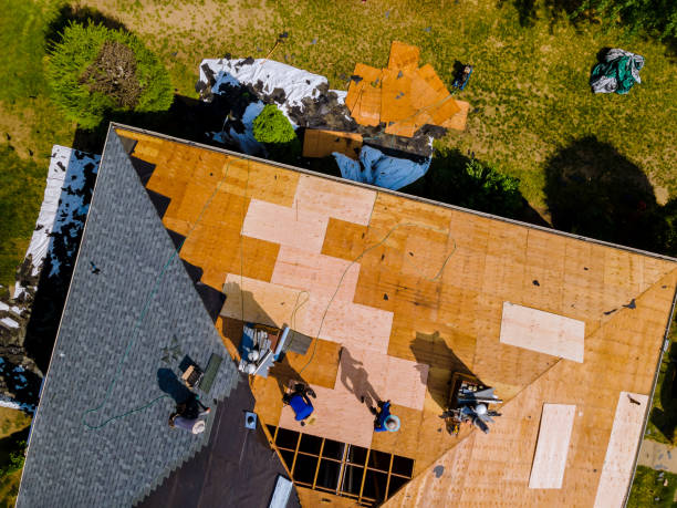 Best Local Roofing Companies  in Brodhead, KY